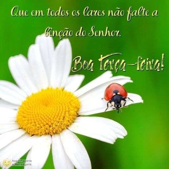 Boa terça-feira