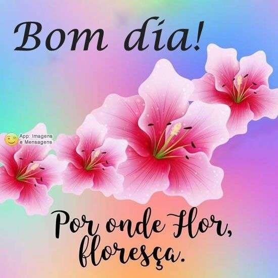 Bom dia