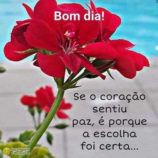 Bom dia