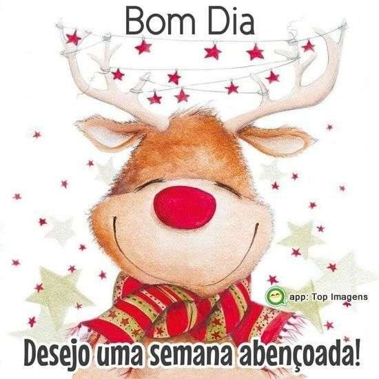 Bom dia