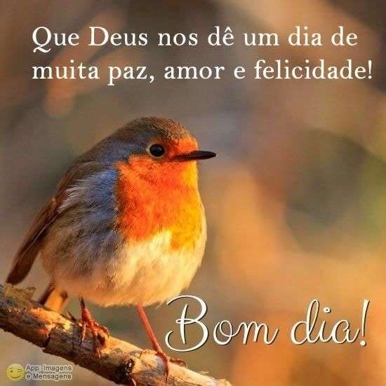 Bom dia