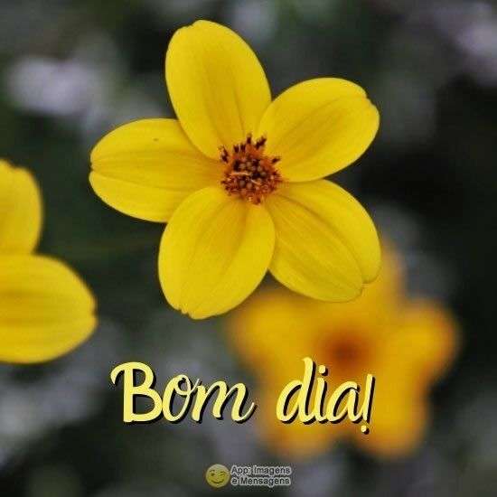 Bom dia, Recado X - 3872. Bom dia, Recado X - 3872.