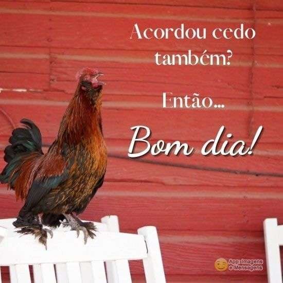 Bom dia