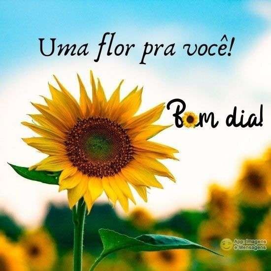 Bom dia