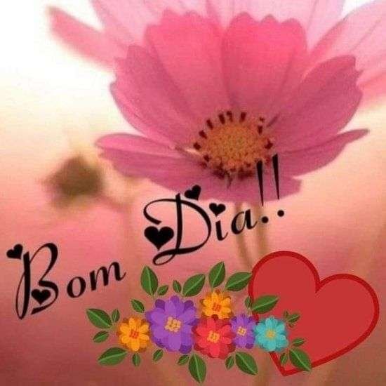 Bom dia
