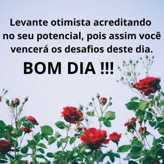 Bom dia