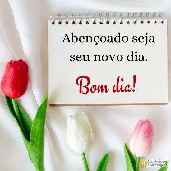 Bom dia