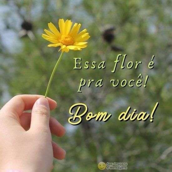 Bom dia