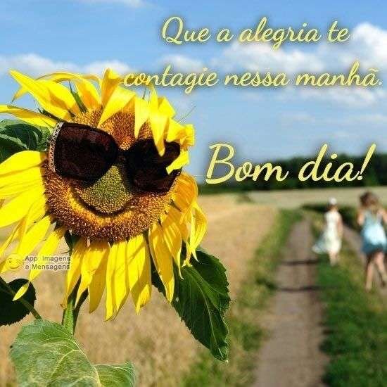 Bom dia