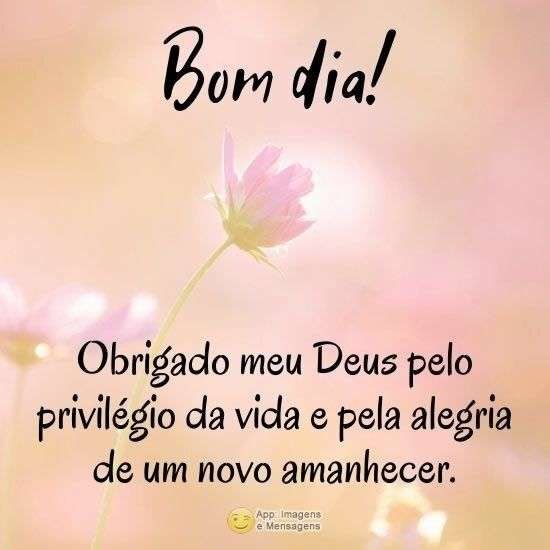 Bom dia