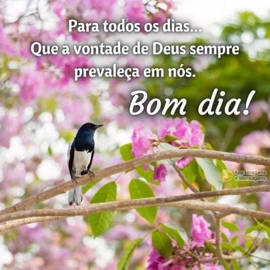 Bom dia, Recado X - 4200. Bom dia, Recado X - 4200.