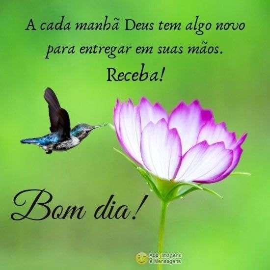 Bom dia, Recado X - 4240. Bom dia, Recado X - 4240.