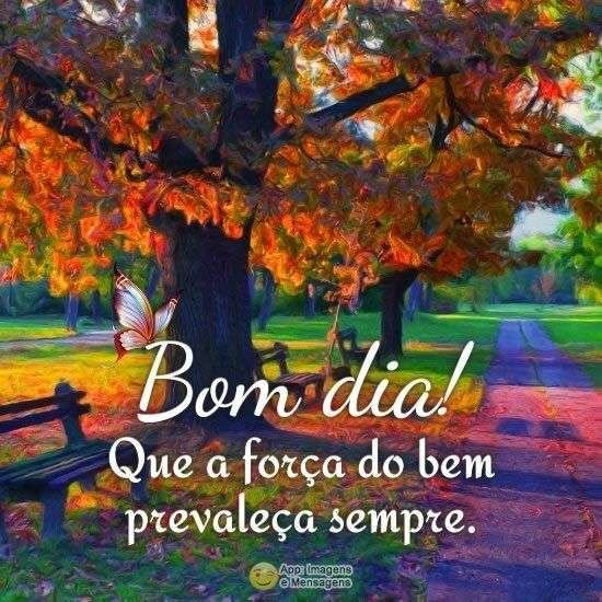 Bom dia