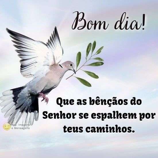 Bom dia abençoado