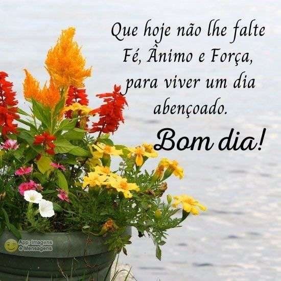Bom dia abençoado