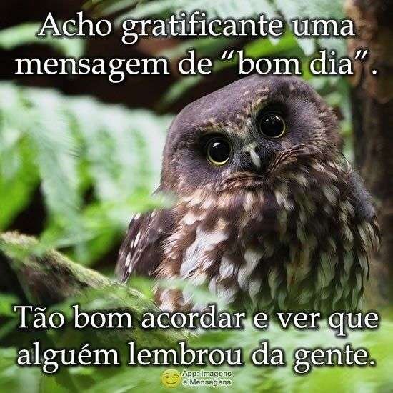 Bom dia lembrei de você
