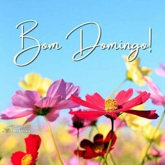 Bom domingo