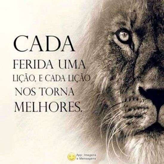 Cada ferida uma lição