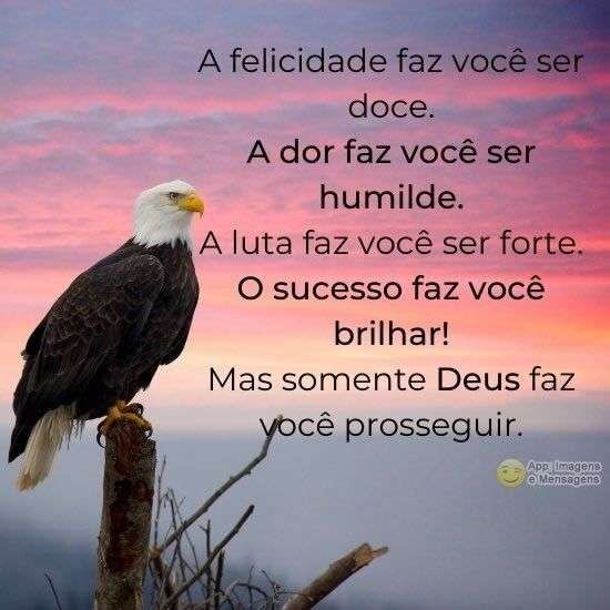 Deus faz você prosseguir