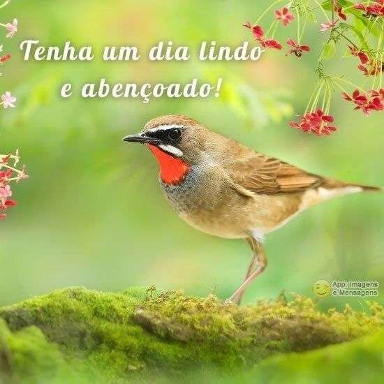 Dia lindo e abençoado