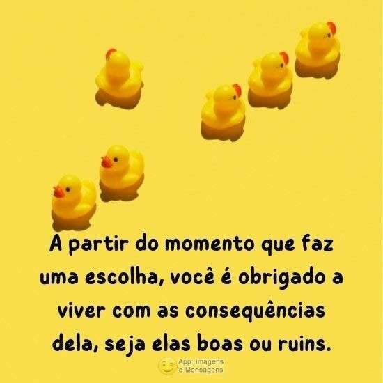 Escolhas e consequências