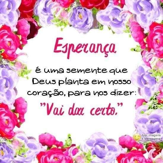 Esperança é uma semente
