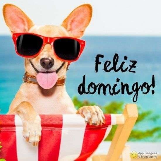 Feliz domingo
