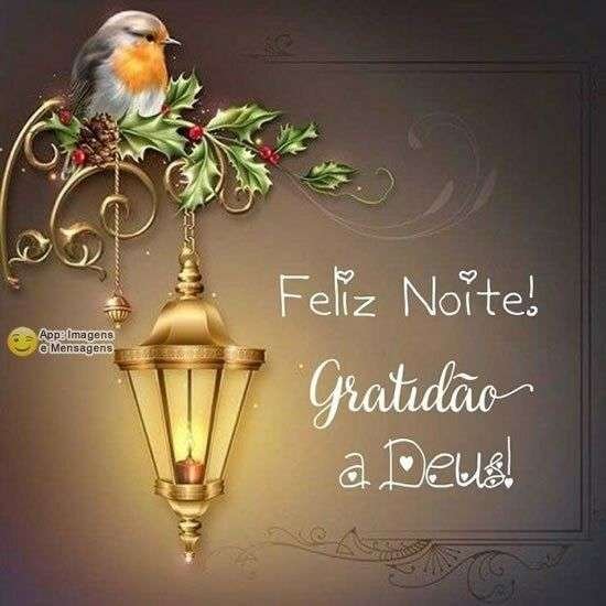 Feliz noite