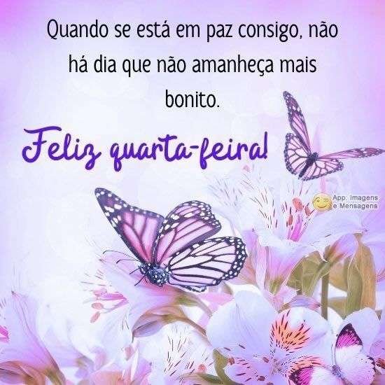 Feliz quarta-feira