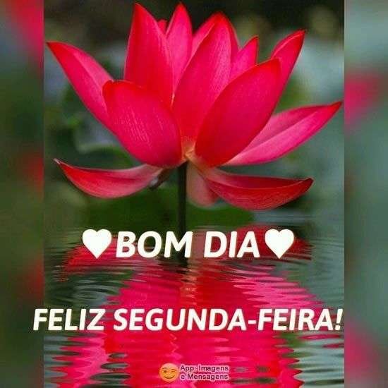 Feliz segunda-feira