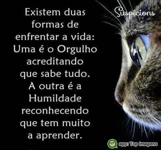 Formas de enfrentar a vida