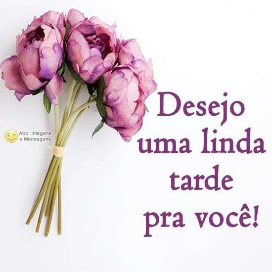 Linda tarde