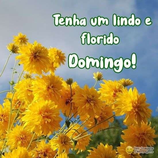 Lindo domingo
