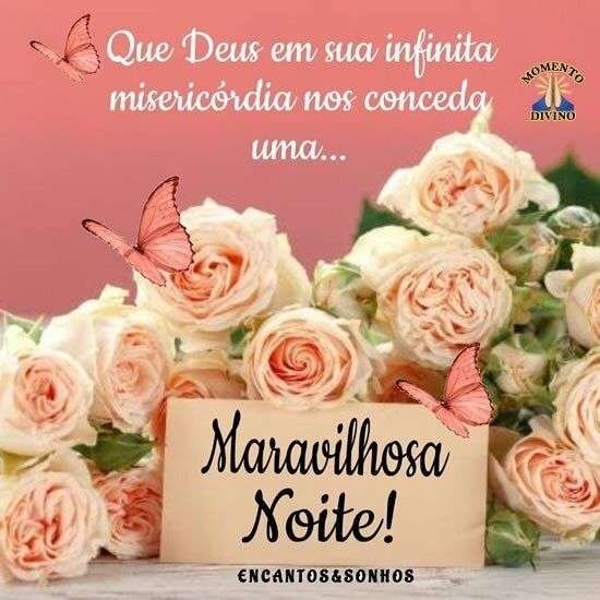Maravilhosa noite