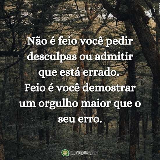 Não é feio pedir desculpas
