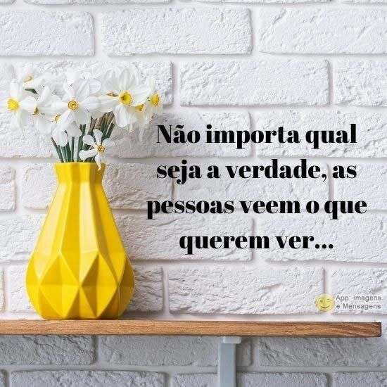 Não importa a verdade