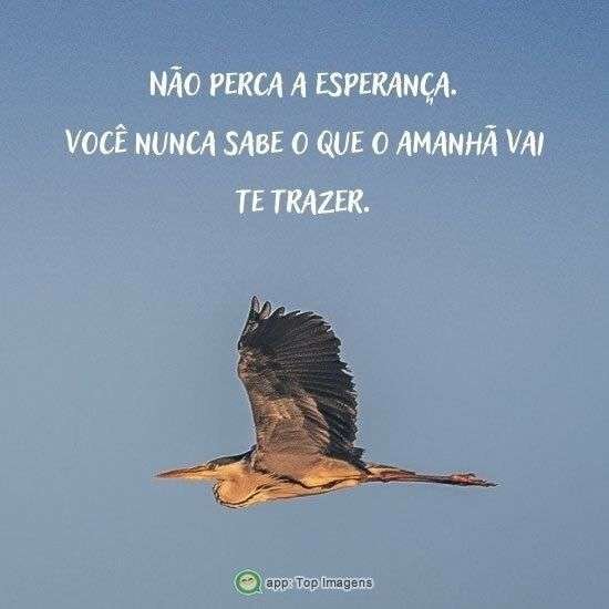 Não perca a esperança