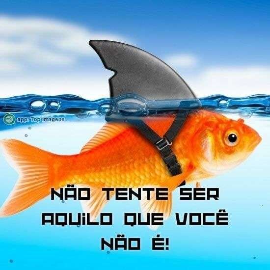 Não tente ser
