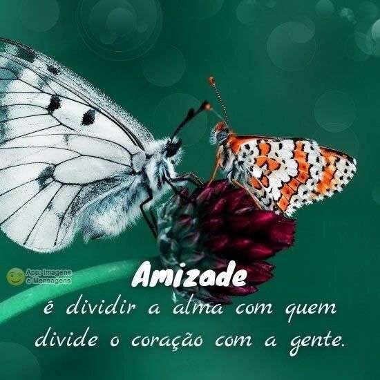O que é amizade