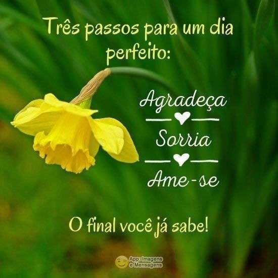 Passos para um dia perfeito