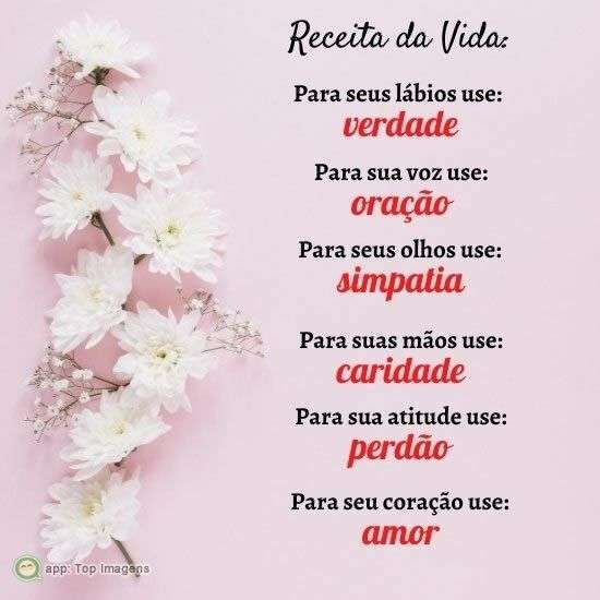 Receita da vida