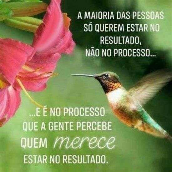 Resultado e processo