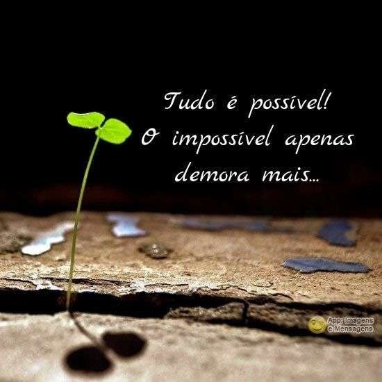 Tudo é possível