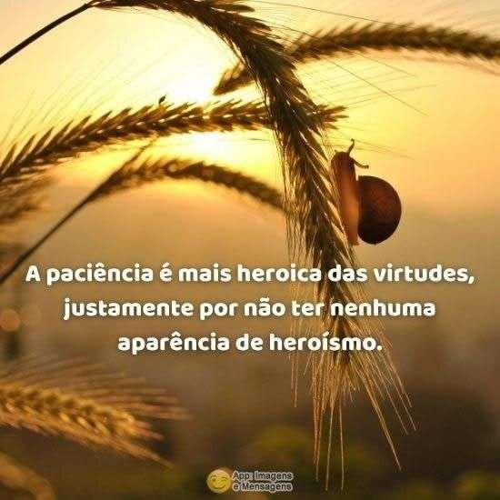 A paciência é uma virtude