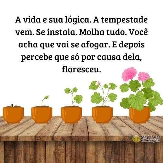 A vida e sua lógica