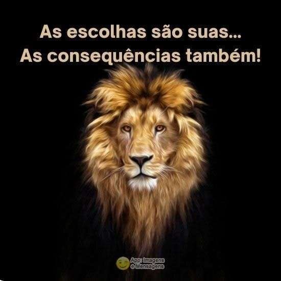 As escolhas são suas