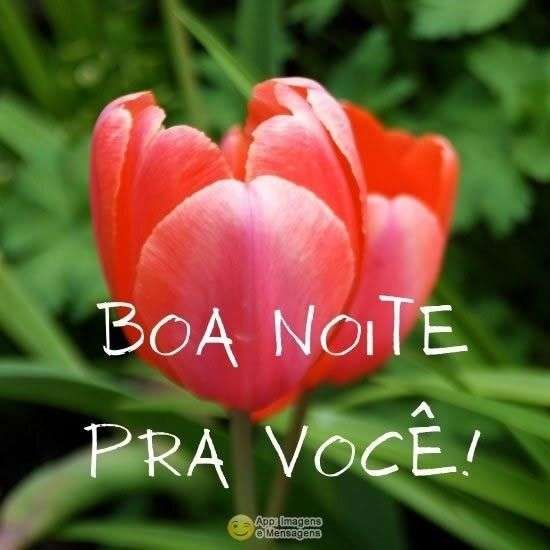 Boa noite