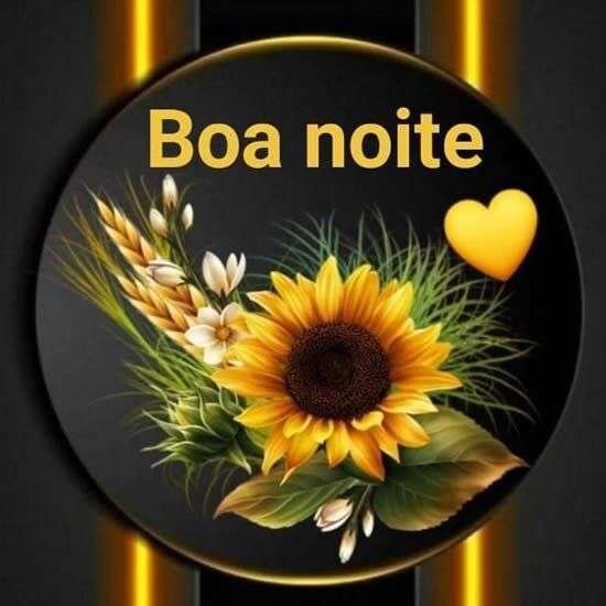 Boa noite