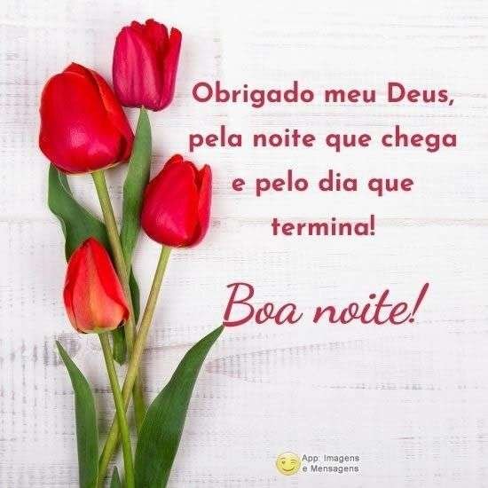 Boa noite