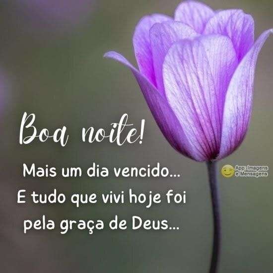 Boa noite
